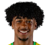 Theodore Adelusi