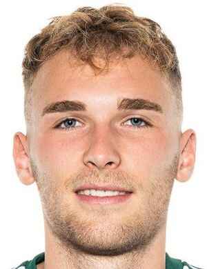 Nico Theisinger