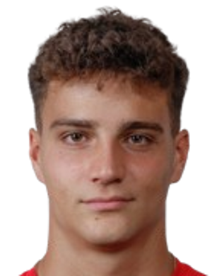 Aleksandar Petrov
