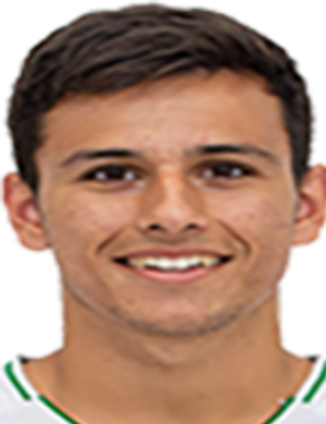 Javi pamies