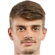 Luka Skaricic