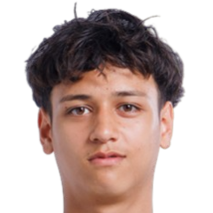 Tiago Vermeulen