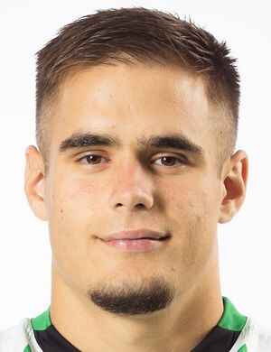 Nikola motika