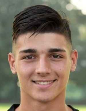 Nicolo Vai