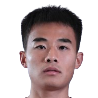 Gao Qili