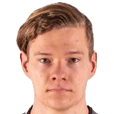 Raiko ilves