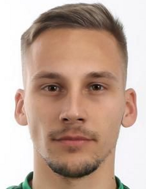 Denis Tubić