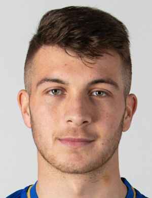 sedad subasic