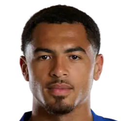 Levi Colwill