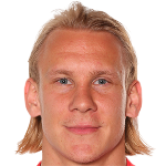 Domagoj Vida