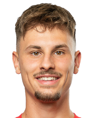 ajdin bajric