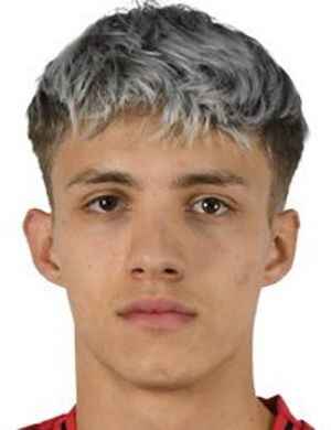davud arnautovic