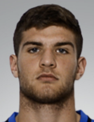 Dominik jergovic
