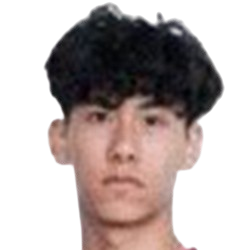 Zhong Junhong