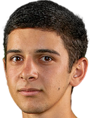 Levon petrosyan