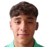Nelson Cedillo