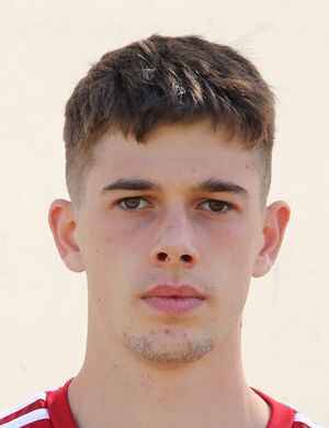 Giannis Rolakis