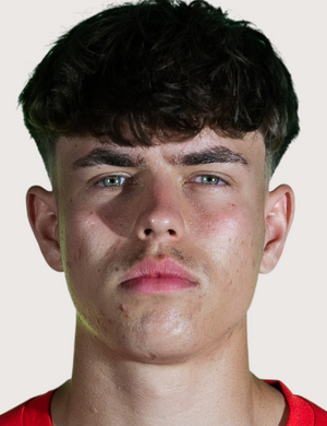David·Oberbauer