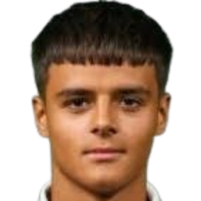 luka zaric