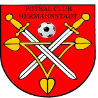 AFC Hermannstadt 2