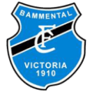 FC Bammental