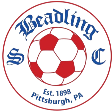 Beadling SC (W)