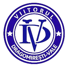 ACS Viitorul Dragomiresti-Vale