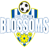 San Antonio Blossoms (w)