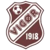 Vigor U19