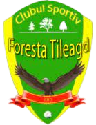 CS Foresta Tileagd
