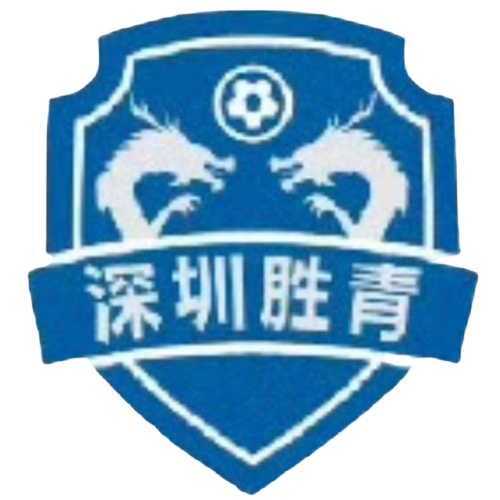 Shenzhen Shengqing