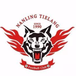 Shenzhen Nanling Tielang Futsal