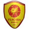 ACS Flacara Horezu