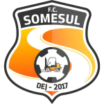 FC Somesul Dej