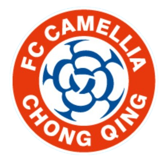 Chongqing Dikai