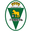 Gomel U19