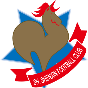 Shanghai Shenxin(2003-2020)