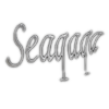 Seaqaqa FC