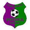 Viitorul Domnesti