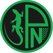 Pordenone Youth