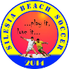 Silesia Milenium Beach
