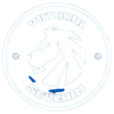 ACS Viitorul Severin