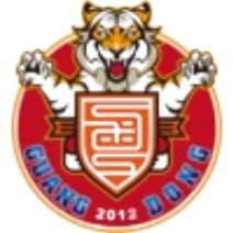 Guangdong Southern Tigers(2012-2020)