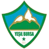 Yesil Bursa