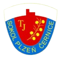 SP Cernice