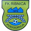 FK Ribnica