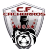CF Cachorros USA