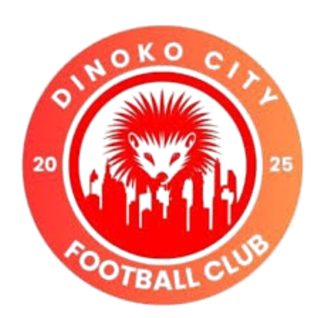 Dinoko City FC