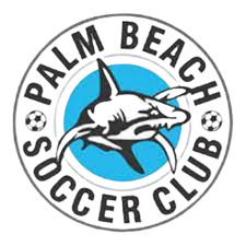 Palm Beach Sharks(w)