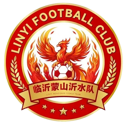 Linyi Team